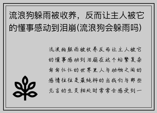 流浪狗躲雨被收养，反而让主人被它的懂事感动到泪崩(流浪狗会躲雨吗)
